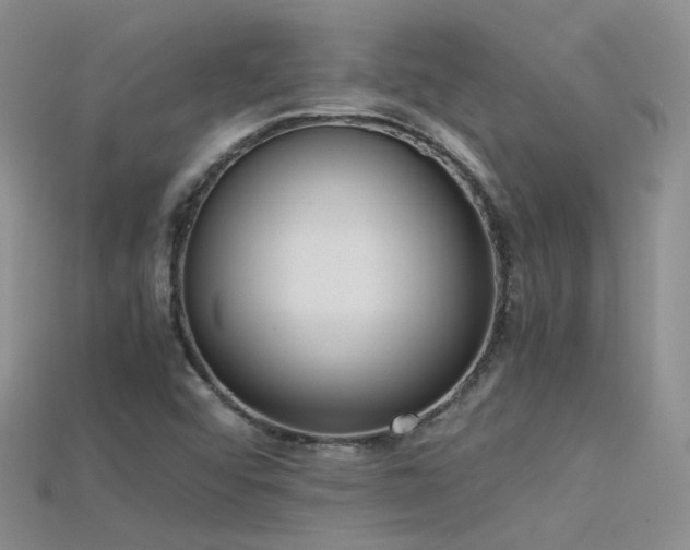 X0000115721456200911121441