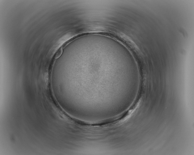 X0000115721457200911121440