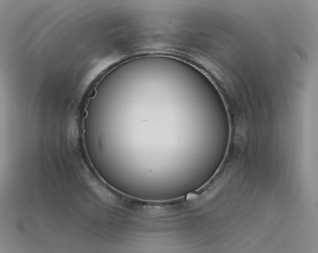 X0000115721458200911121440