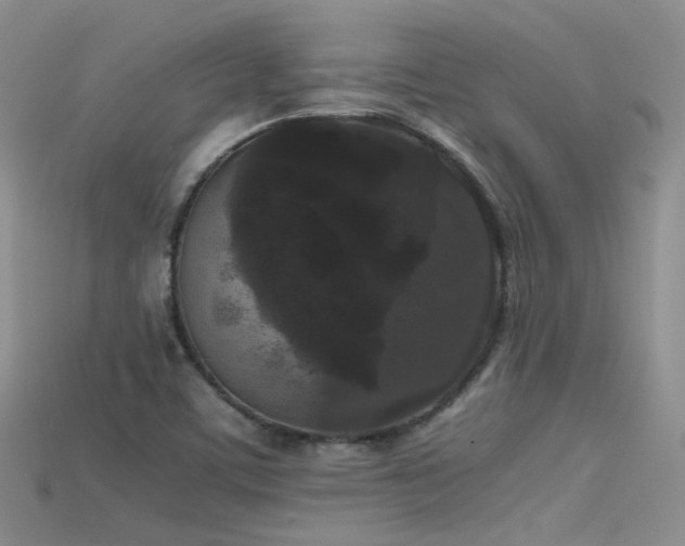 X0000115721459200911121440