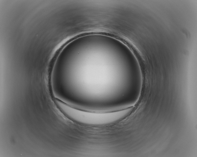 X0000115721460200911121440