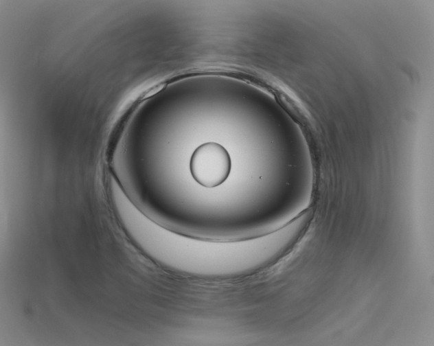 X0000115721461200911121440