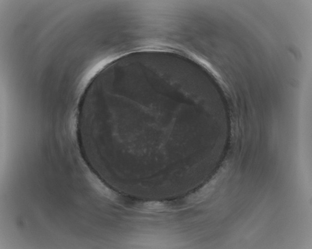 X0000115721463200911121440