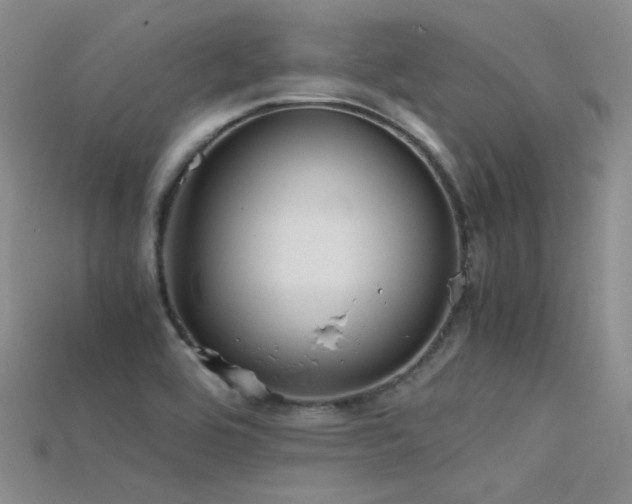 X0000115721464200911121440