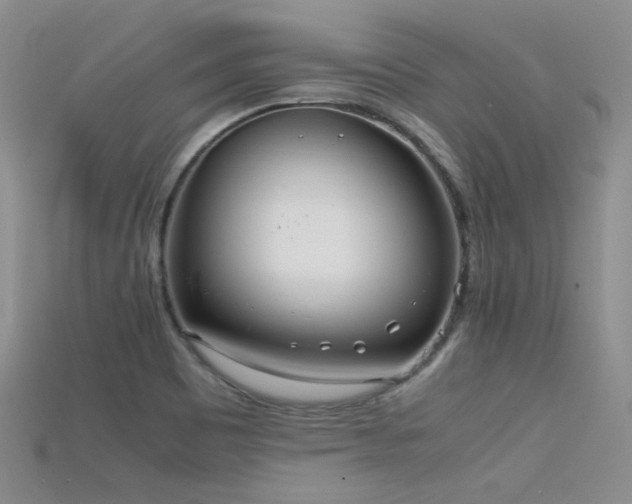 X0000115721465200911121440
