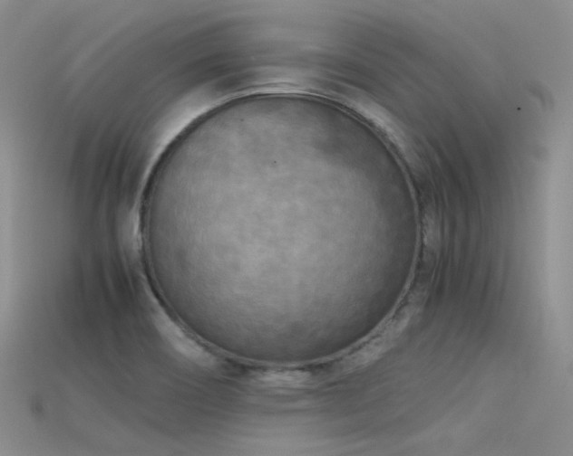 X0000115721466200911121440