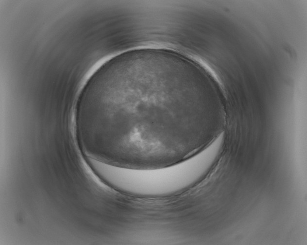 X0000115721468200911121440