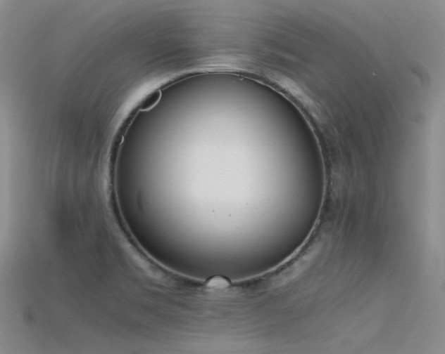 X0000115721469200911121440