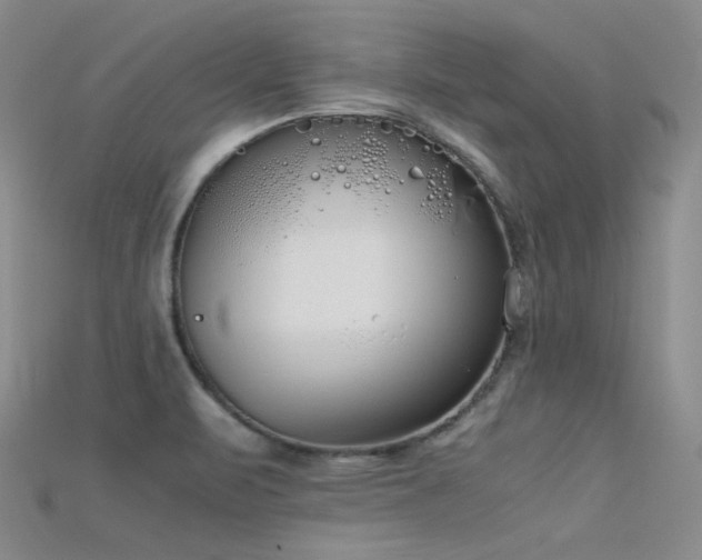 X0000115721471200911121440