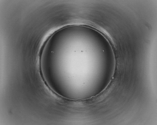 X0000115721472200911121440