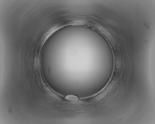 X0000115721473200911121440