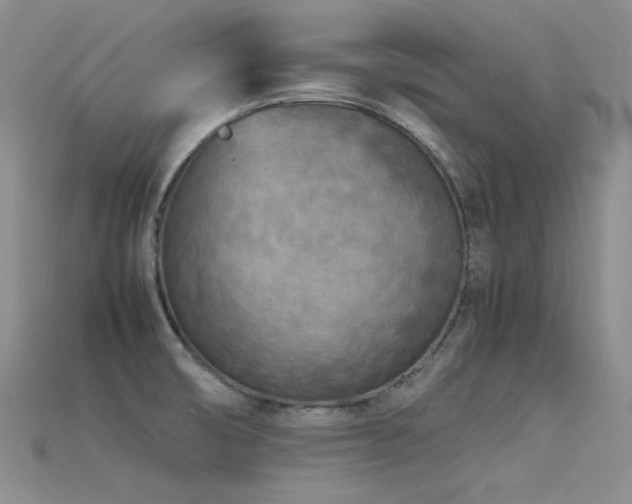 X0000115721474200911121440