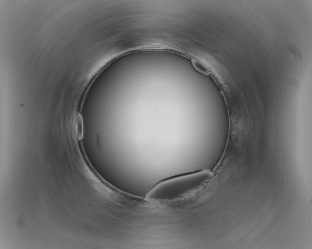 X0000115721476200911121440