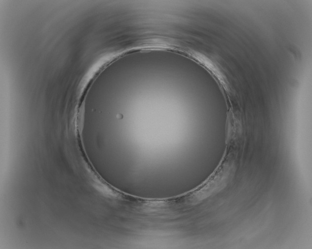 X0000115721477200911121440