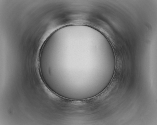 X0000115721478200911121440