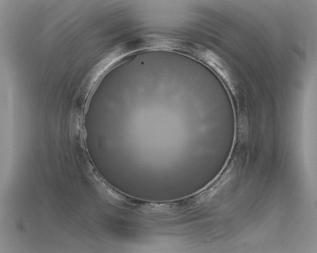 X0000115721481200911121440