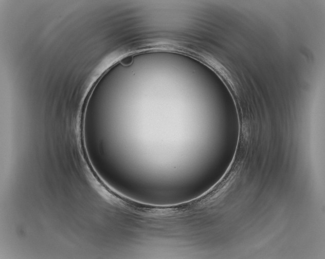 X0000115721482200911121440
