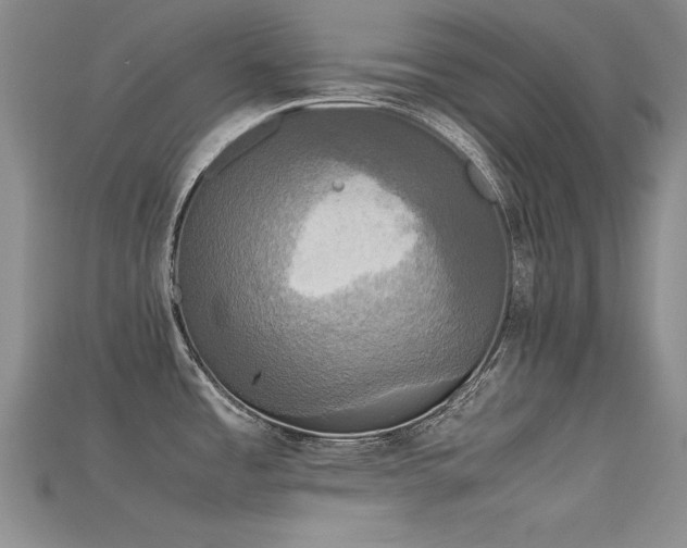 X0000115721485200911121440