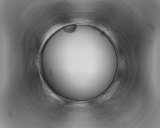 X0000115721486200911121440