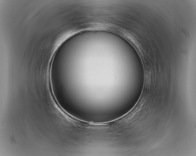 X0000115721487200911121440