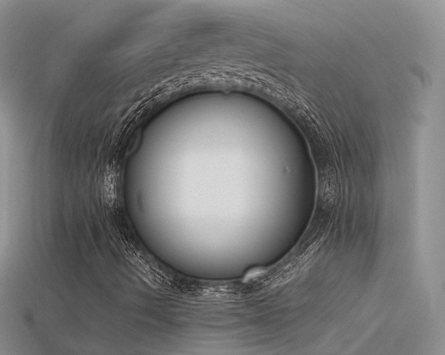 X0000115721490200911121439