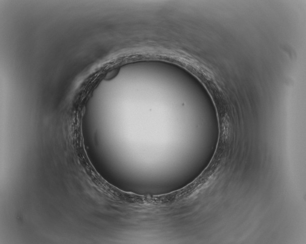 X0000115721494200911121440