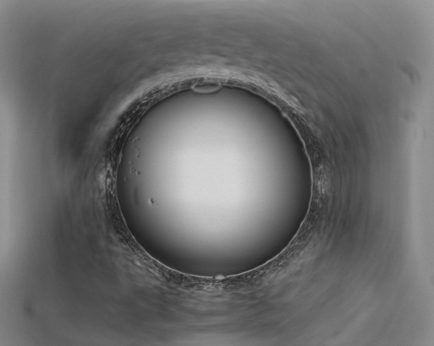 X0000115721495200911121440