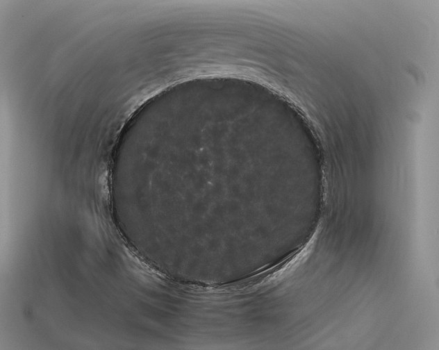 X0000115721497200911121440