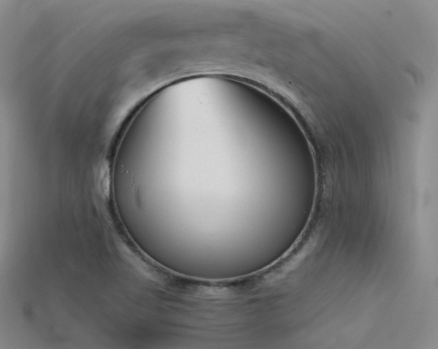 X0000115721509200911121440
