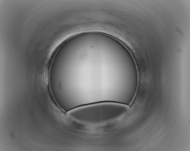 X0000115721510200911121440