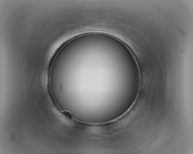 X0000115721511200911121440