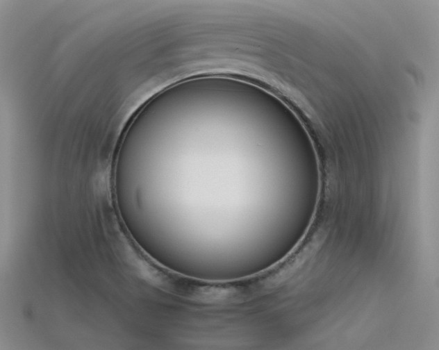 X0000115721513200911121440