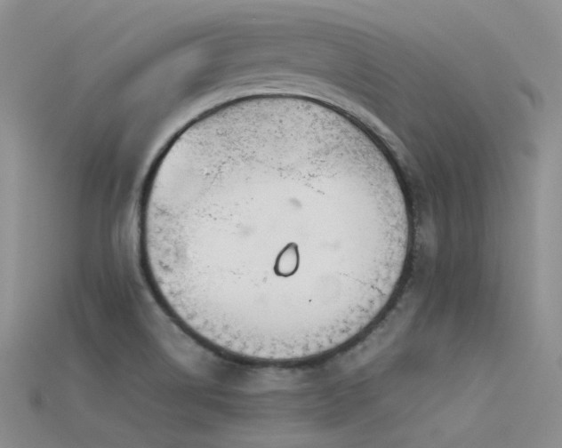 X0000115721514200911121440