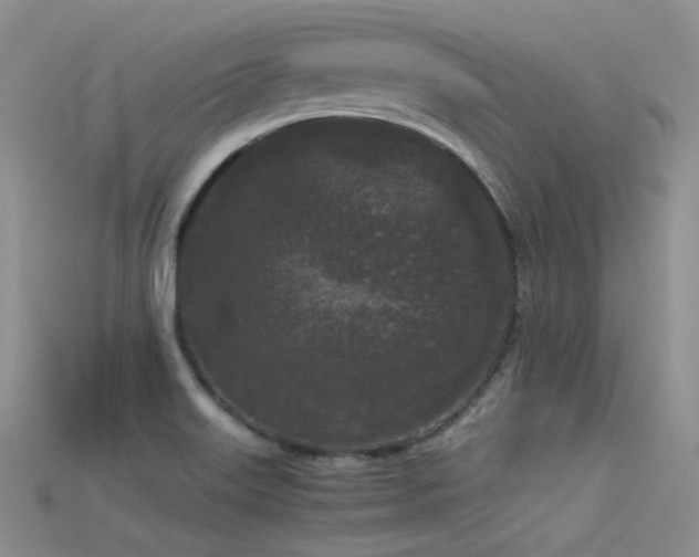 X0000115721515200911121440