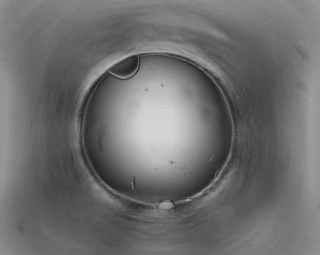 X0000115721517200911121440