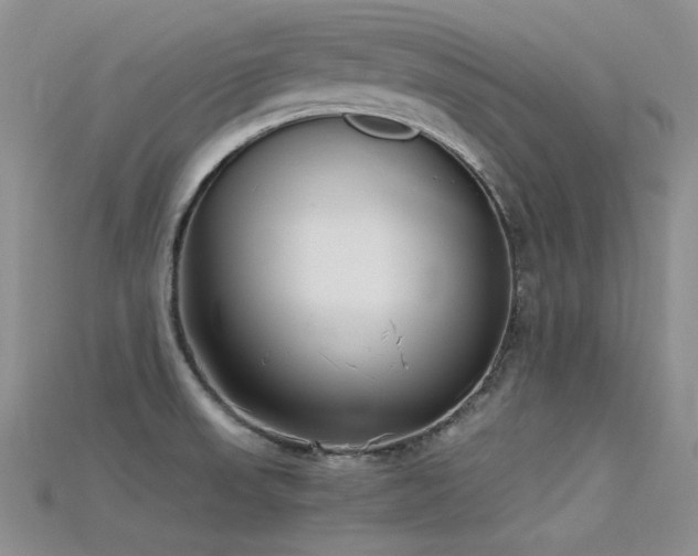 X0000115721523200911121440