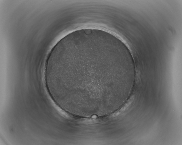 X0000115721525200911121440