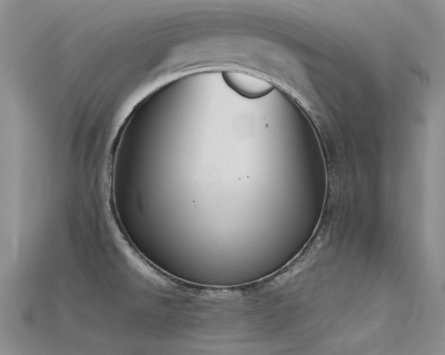 X0000115721526200911121440