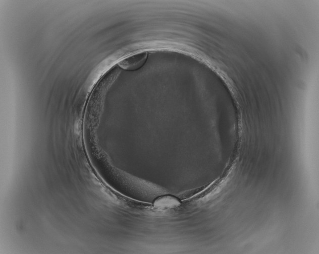 X0000115721529200911121440