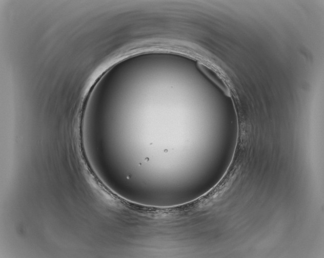 X0000115721530200911121440