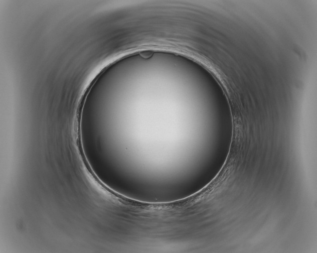 X0000115721531200911121440