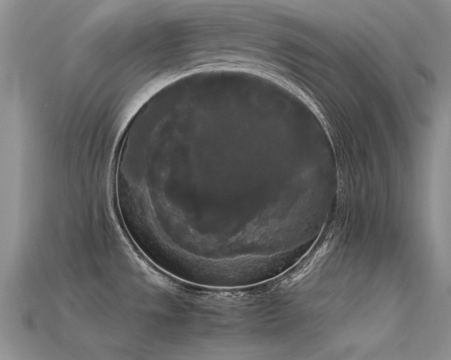 X0000115721533200911121440