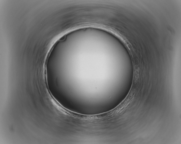 X0000115721535200911121440