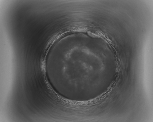 X0000115720002200911191401