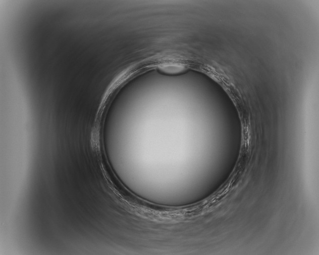 X0000115720004200911191401