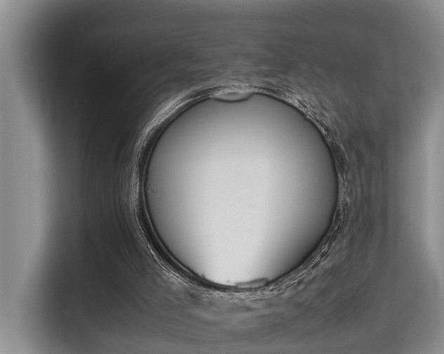 X0000115720005200911191401