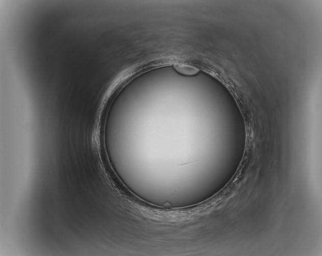 X0000115720006200911191401
