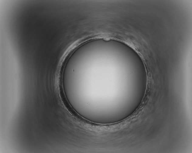 X0000115720007200911191401