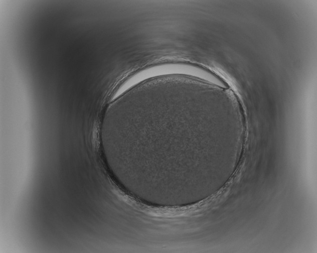 X0000115720009200911191401