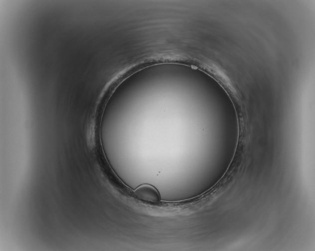 X0000115720012200911191401